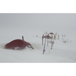 Expedition Super Quasar - Terra Nova - Base camp tent